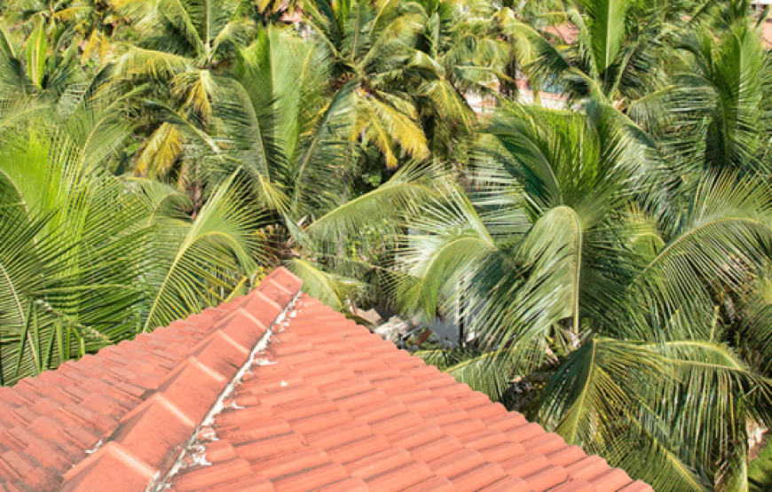 SERENE SHENBAGAM BY COLUMBIA PACIFIC